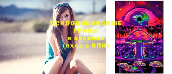 спиды Кодинск