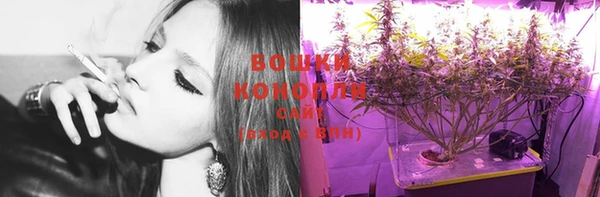 стафф Киренск