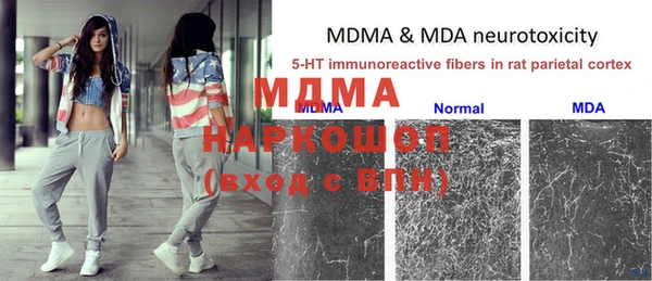 молекула духа Кинешма