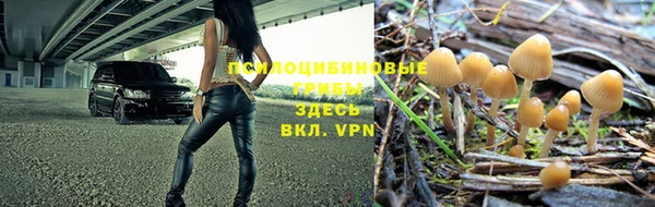 стафф Киренск