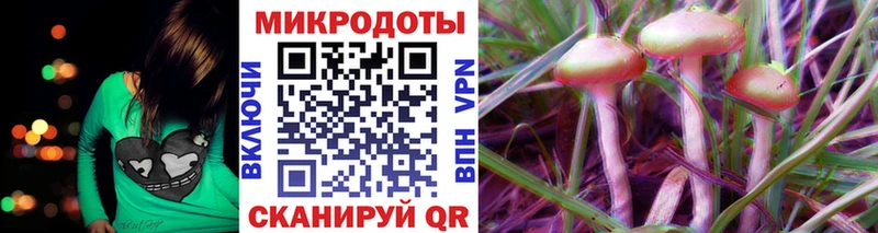 Галлюциногенные грибы Psilocybe  Лабинск 